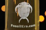 Laser-Etched FossilEra Trilobite Mug - 25 oz - Photo 3